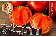 トマト 長野 オールージュトマト 2kg 野菜 夏野菜 夏 旬 旬野菜 甘い 国産 ビタミン ミネラル 抗酸化 リコピン 美容 健康 フルーツトマト フルーツ 長野県産 長野県 箕輪町　[№5675-1391]