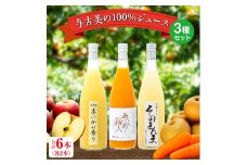 与古美の100％ジュース3種（りんご、梨、りんご×にんじん）セット 各2本(計6本)　長野 飲料ドリンク 果汁飲料 フルーツジュース フルーツ 果物 信州産 長野県産 産地直送 おすすめ　[№5675-1500]