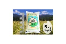 長野県産 越百黄金米(精米)5kg【1575178】