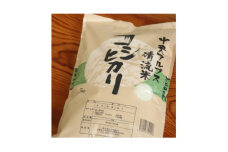 長野県産 みやましじみ米(精米)5kg【1575191】