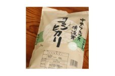 長野県産 みやましじみ米(精米)5kg【1575191】