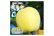 ＜桃沢晴香園＞はるか(りんご)5kg【1606258】