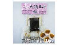 天領 五平餅 10本セット 味噌だれつき【1576832】