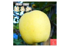 ＜桃沢晴香園＞はるか(りんご)5kg　ご自宅用【1606259】
