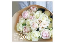 萬華園のバラ　淡色系　約20本【1603010】