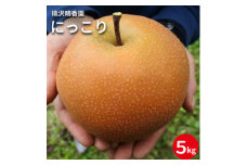 ＜桃沢晴香園＞にっこり梨　約5kg(5～6玉)【1606257】