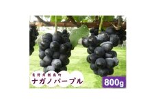 中央アルプス山麓のナガノパープル　800g【1657913】