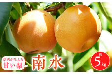 2025年秋!信州の梨＜南水＞約5kg　信州が生んだ甘い梨!_ 梨 なし 南水 果物 くだもの フルーツ ふるーつ 人気 おすすめ 送料無料 贈答 ギフト プレゼント 信州 長野 甘い 【1041409】