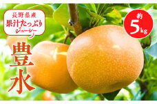 2025年秋!信州の梨＜豊水＞約5kg　果汁たっぷりジューシーな梨!_ なし 梨 ナシ 果物 くだもの フルーツ 青果 国産 産地直送 信州 季節限定 長野県 贈答 ギフト プレゼント 人気 おすすめ 送料無料 お取り寄せ 【1041411】