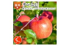 2025年!信州のりんご＜サンふじ＞約5kg【1041421】