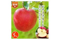 2025年!信州のりんご＜シナノスイート＞約5kg【1041420】