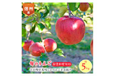 ＜2025年＞信州のりんご　品種おまかせ　約5kg【1041422】