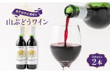 〔信州大学人気No.1〕山ぶどうワイン2本【1048308】