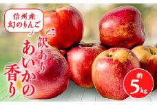 2025年＜傷等訳あり＞甘い!希少!りんご＜あいかの香り＞約5kg　信州のりんご【1061788】