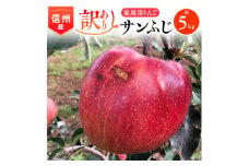 2025年!信州のりんご＜サンふじ＞訳あり　約5kg　家庭用【1136049】