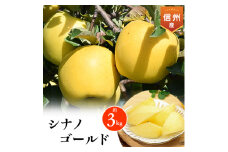 2025年!信州のりんご＜シナノゴールド＞　約3kg【1229609】
