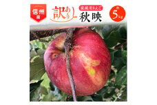 2025年!信州のりんご＜秋映＞訳あり　約5kg　家庭用_ りんご リンゴ 秋映 訳あり あきばえ 林檎 約5kg 長野 長野県 信州 果物 くだもの フルーツ デザート おやつ 果実 青果 傷 規格外 わけあり 国産 産直 産地直送 家庭用 自宅用 送料無料 【1230077】
