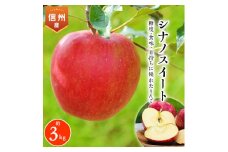 2025年!信州のりんご＜シナノスイート＞約3kg_ りんご シナノスイート 林檎 リンゴ 長野県 信州産 しなのスイート シナノ スイート 果物 くだもの フルーツ デザート おやつ 約3kg 甘い 国産 産直 産地直送 贈答 ギフト プレゼント 送料無料 【1230234】