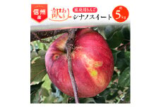 2025年!信州のりんご＜シナノスイート＞訳あり　約5kg　家庭用_ りんご リンゴ シナノスイート 訳あり 林檎 長野県 信州 しなのスイート シナノ 果物 くだもの フルーツ デザート 傷 規格外 わけあり 国産 産直 産地直送 家庭用 自宅用 送料無料 【1230235】