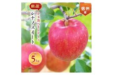 2025年!信州のりんご＜シナノスイート＞小玉　約5kg　厳選!小玉食べきりサイズ!_ りんご シナノスイート 林檎 リンゴ 長野県 信州 しなのスイート シナノ 果物 くだもの フルーツ デザート 小玉 約5kg 産直 産地直送 ギフト プレゼント 送料無料 【1265380】
