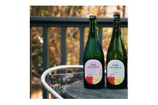 シードル　ド　カミーナ(長野県上伊那産りんごのスパークリングワイン)辛口・甘口375ml×各1本【1374660】