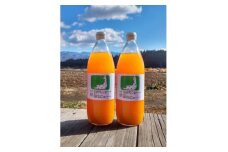 信州産　黄色いにんじんとりんごのジュース　1L ×6本　100%ストレート【1379585】