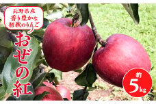 2025年!信州のりんご＜おぜの紅＞約5kg_ りんご リンゴ 林檎 信州 長野 長野県 約5㎏ 果物 くだもの フルーツ デザート おやつ ジュース スムージー 果実 青果 甘味 酸味 バランス 国産 産直 産地直送 贈答 ギフト プレゼント 送料無料 【1401191】