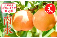 2025年!本当に甘い梨です!信州が生んだ甘い＜南水＞約3キロセット!_ 梨 なし 南水 果物 フルーツ くだもの 贈答 ギフト プレゼント 信州 長野 送料無料 人気 産地直送 おすすめ 旬 甘い 【1475150】