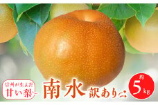 2025年秋!信州の梨＜南水＞訳あり　約5kg　信州が生んだ甘い梨!【1446678】