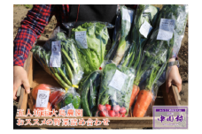 五人坊主大島農園おススメの野菜詰め合わせ