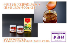 中川はちみつ工房特製はちみつ（日本みつばち）100g×２本
