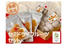 フルーツガーデン松村の市田柿とセミドライフルーツ（りんご）のセット