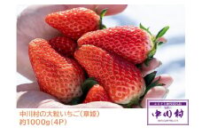中川村の大粒いちご（章姫）約1000ｇ（４P）