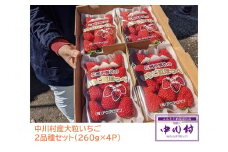 中川村産大粒いちご２品種セット（４Ｐ）
