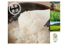 信州産コシヒカリ「桃つや米」10㎏