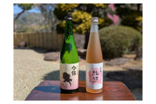 IM-28S 今錦の特別純米酒と梅酒のセット