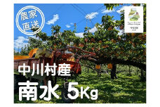 【農家直送】森越農園のなし（南水）約５Kg