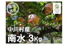 農家直送】森越農園のなし（南水）約３Kg