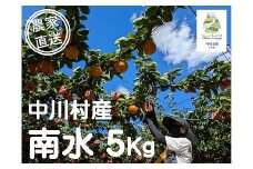 農家直送】桃沢農園のなし（南水）約５Kg