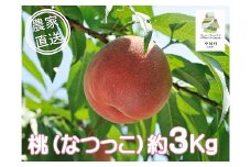 中川村の桃（なつっこ）約３Kg