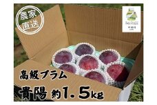 農家直送】中川村産高級プラム貴陽　約１．５Ｋｇ
