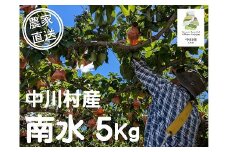 【農家直送】みなみ農園のなし（南水）約５Kg
