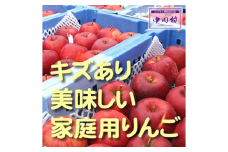 農家直送】富永農園の秋のりんご【訳あり】約１０Kg±　最終発送日11月10日（予定）