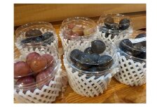 中川村産ぶどう粒パック詰合せ　約１．５Ｋｇ
