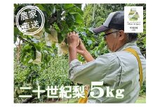 農家直送】桃沢農園のなし（二十世紀）　約５Kg±