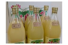 片桐農園 100%リンゴジュース飲み比べ　３種６本セット