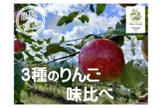 農園直送】フルーツガーデン松村のりんご　味比べ３種セット　約4.5㎏
