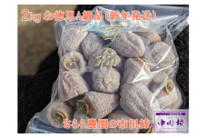 【2026年１月以降順次お届け予定】さらら農園の市田柿　２㎏（お徳用A級品）約１㎏×２袋