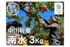 農家直送】桃沢農園のなし（南水）約３Kg