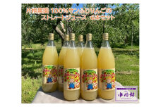 片桐農園 100%サンふじりんごのストレートジュース　６本セット